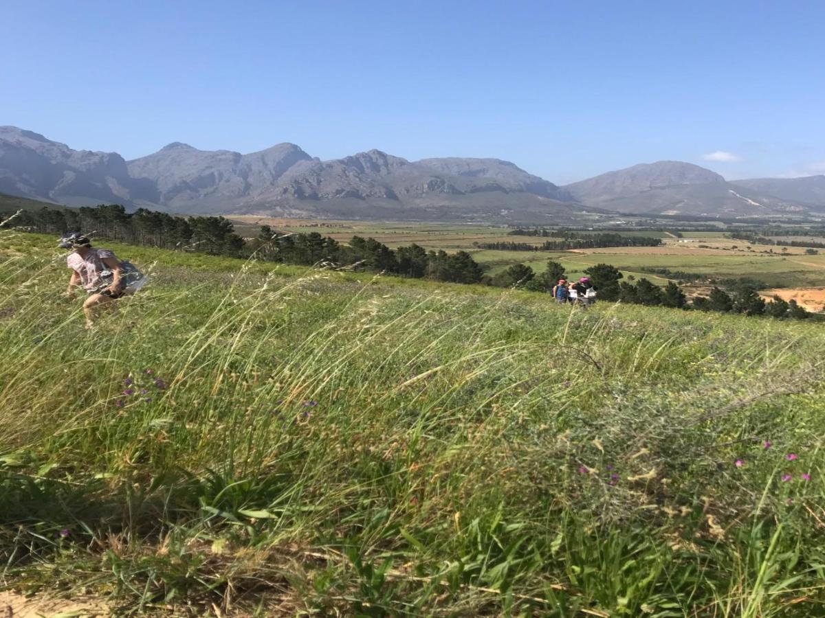 Retreat At Waterfall Valley Paarl Eksteriør bilde